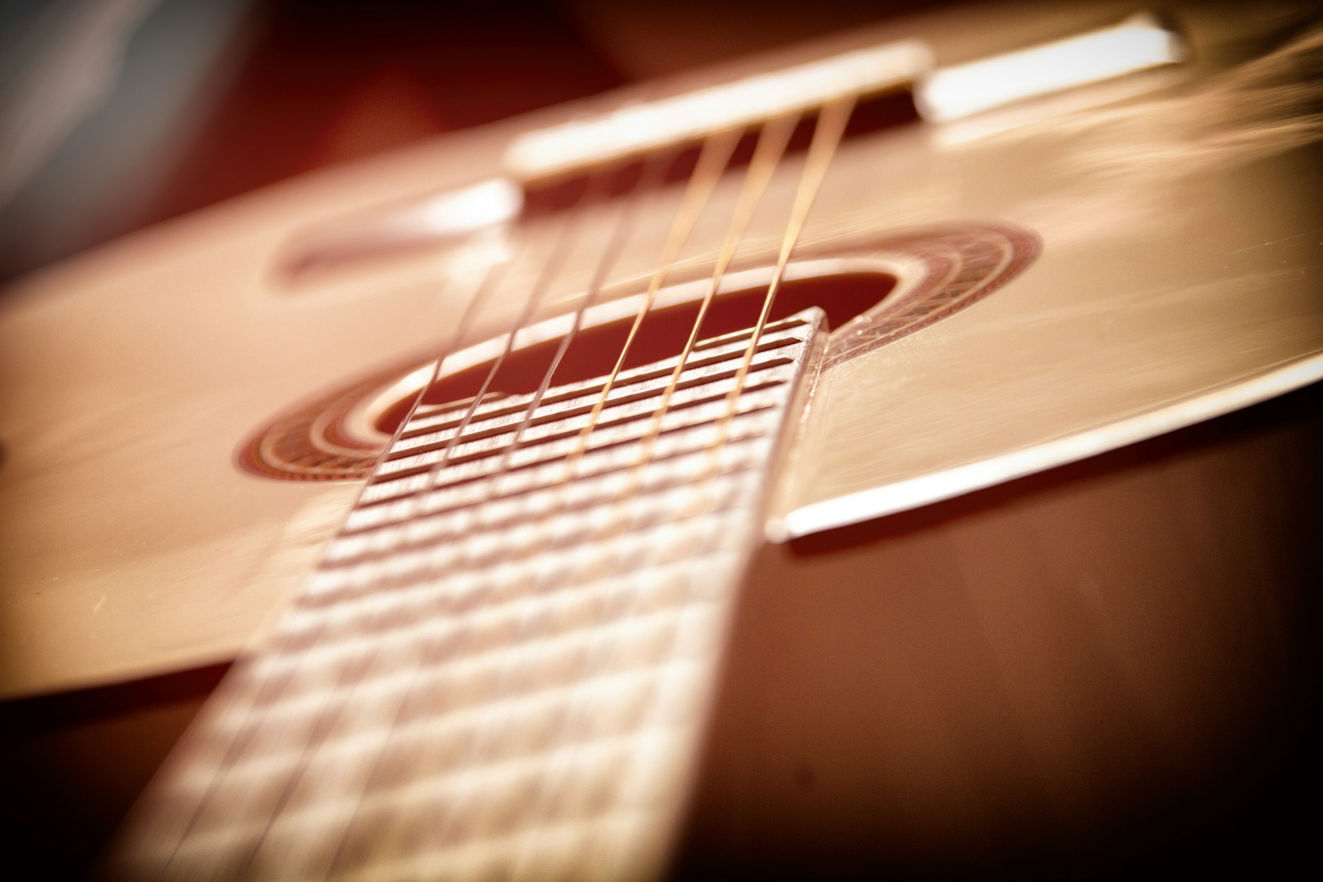Close-up of the strings of an acoustic guitar